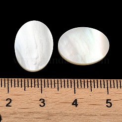 Natürliche weiße Muschel cabochons SSHEL-M022-03