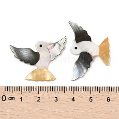 Natürliche schwarze Lippenmuschel & weiße Muschel & gelbe Muschel-Cabochons SSHEL-I026-26