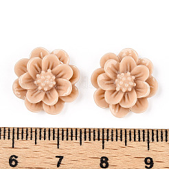 Harz Cabochon CRES-B3259-A80