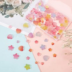 120 Stück PVC-Cabochons im 6-Stil KY-OC0001-09