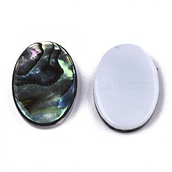 Natürliche Abalone Muschel / Paua Muschel Cabochons SSHEL-N034-73A-01
