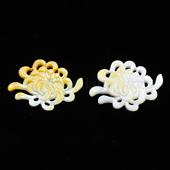Natürlicher gelber Schal cabochons SSHEL-N027-124-01