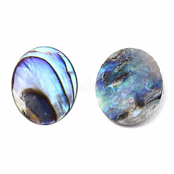 Natürliche Abalone Muschel / Paua Muschel Cabochons SSHEL-N034-118