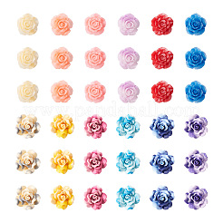 72 Stück 2 Stil 6 Farben verwischte Farbe undurchsichtige Harz Cabochons RESI-CD0001-19