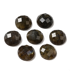 Natur Labradorit Cabochons G-L514-010