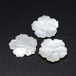 Natürliche weiße Muschel Perlmutt Muschel Blume Cabochons SSHEL-E553-01