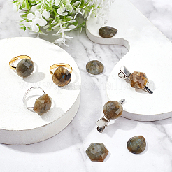 9 Stück 3 Stile natürliche Labradorit-Cabochons G-FH0001-27