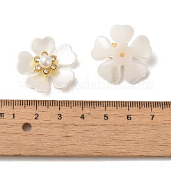 Kunststoff Cabochons FIND-K016-02A