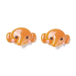 Harz Cabochons RESI-K013-06