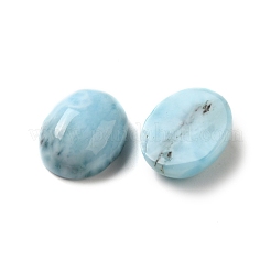 Natürliche Larimar-Cabochons G-E616-06A