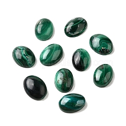 Natur Malachit Cabochons G-E557-03P