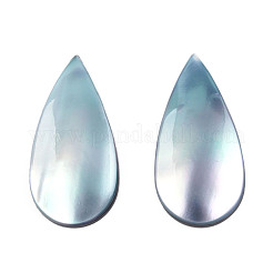 Natürliche Turbo Cornulus/Top Shell Cabochons SSHEL-N003-156A