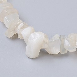 Natürlichen weißen Mondstein Stretch-Armbänder BJEW-JB03681-09