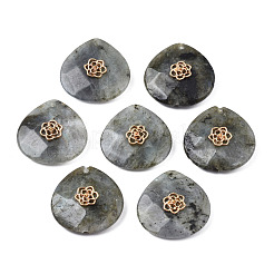 Natürliche Labradorit-Anhänger-Strass-Einstellungen G-N326-133-06