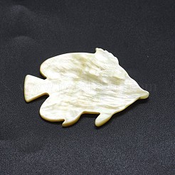 Shell Cabochons SSHEL-P015-73