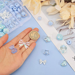 DIY Schmuckherstellung Finding Kit DIY-CA0006-17