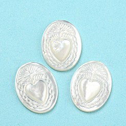 Natürliche Muschel-Cabochons SHEL-D079-19