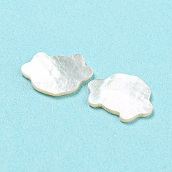 Natürliche Muschel-Cabochons SHEL-D079-15