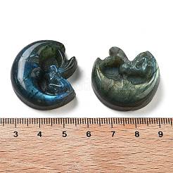 Natürlicher Labradorit geschnitzte Cabochons G-C152-09