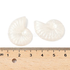 Transparente Harzcabochons CRES-D306-02