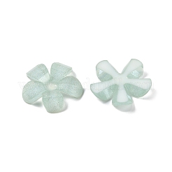 Durchscheinende Epoxidharz Glitzerpulver Decoden Cabochons CRES-S367-15B