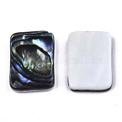 Natürliche Abalone Muschel / Paua Muschel Cabochons SSHEL-N034-76B-01
