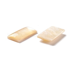 Gelbe Schale Cabochons SSHEL-C008-10