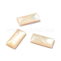 Gelbe Schale Cabochons SSHEL-C008-10