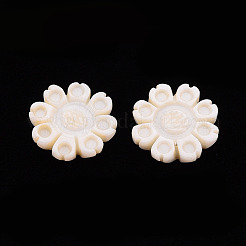 Süßwasser Shell Cabochons SHEL-T018-14