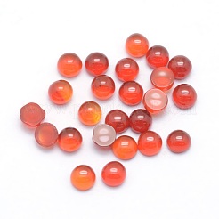 Natürlichen Karneol cabochons X-G-P393-R03-3mm