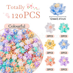 120 Stück 6 Farben undurchsichtige Harz-Cabochons CRES-TA0001-28
