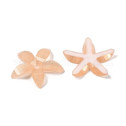 Epoxidharz Glitzerpulver Decoden Cabochons CRES-S367-04