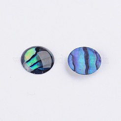 Abalone-Muschel / Paua-Muschel-Cabochons SSHEL-K003-8MM