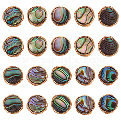 20 Stück natürliche Abalone Muschel/Paua Muschel Kupferdraht gewickelt flache runde Cabochons FIND-BC0005-40
