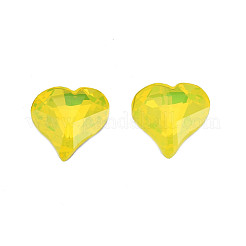 K9 Glas Strass Cabochons MRMJ-N029-17-01