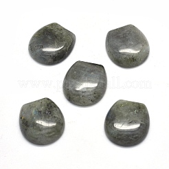 Natur Labradorit Cabochons G-O175-13I