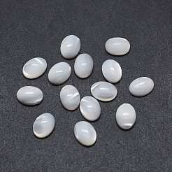 Shell Cabochons SSHEL-E567-25D