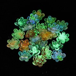 Blumen-Harz-Cabochons mit Glitzerpulver CRES-Q006-04A