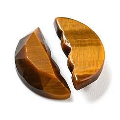 Natürliche Tigerauge-Schmetterlingsflügel-Cabochons G-D078-02A