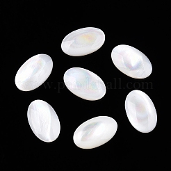 Natürliche weiße Muschel cabochons SSHEL-T017-06