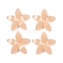 Epoxidharz Glitzerpulver Decoden Cabochons CRES-S367-04