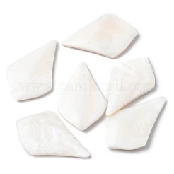 Natürliche Süßwasser Muschel Cabochons SHEL-K006-04