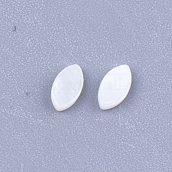 Süßwasser Shell Cabochons SHEL-S274-91