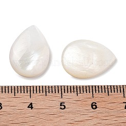Natürliche Süßwasser Muschel Cabochons SHEL-D082-01A