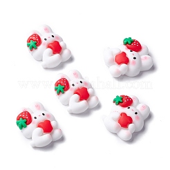Harz Cabochons X-RESI-C008-05