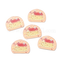 Bedruckte Acryl-Cabochons MACR-C003-29