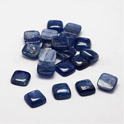 Quadratische Cabochons aus natürlichem Zyanit / Zyanit / Disthen G-O148-01C