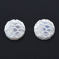 ABS Kunststoffimitation Perle Cabochons KY-N015-21B