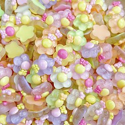 Durchscheinende Cabochons aus Kunstharz im Cartoon-Stil RESI-C039-01Q