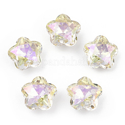 K9 Glas Strass Cabochons MRMJ-T075-02